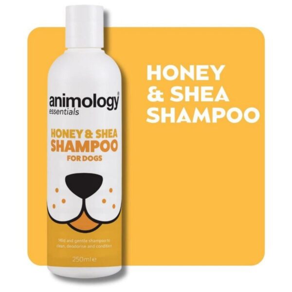 Saitrayaa Animology Essentials Honey and Shea Shampoo for Dogs 250ml