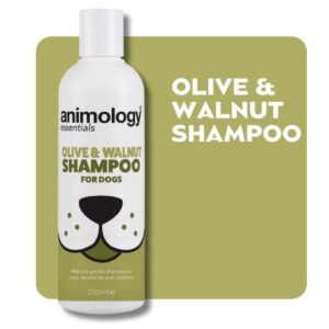 Saitrayaa Animology Essentials Olive and Walnut Shampoo for Dogs 250ml