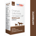 Savavet Bioclan (Clindamycin) Oral Solution for Dogs and Cats (20ml) image 2