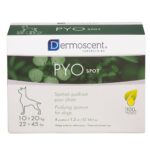Savavet Dermoscent Pyospot Purifying Spot On for Dogs Between 10 to 20kg image 2