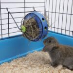 Savic Bunny Toy with Feeder for Rabbits image 2