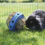 Savic Bunny Toy with Feeder for Rabbits image 3