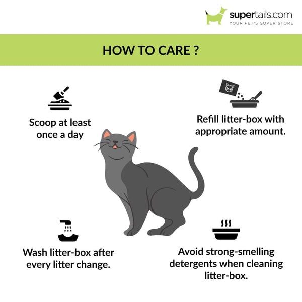 Savic Iriz Litter Tray with Rim for Cats (Cold Grey)