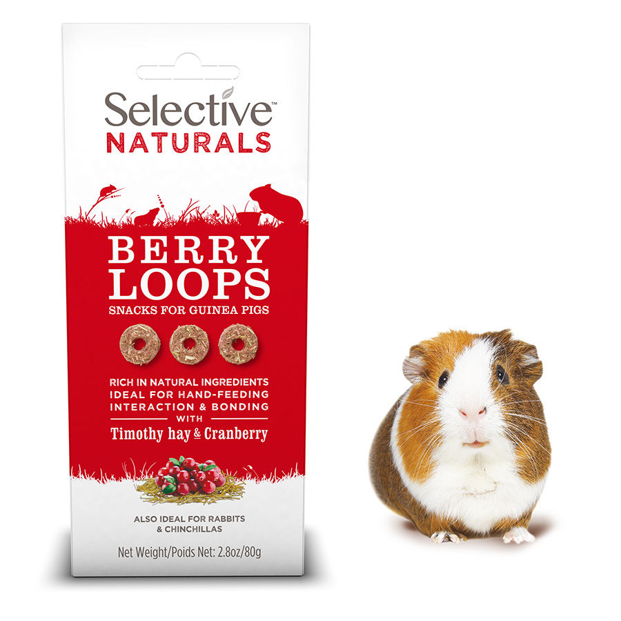 Selective Naturals Berry Loops for Guinea Pigs