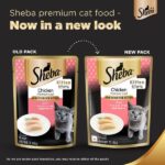 Sheba Chicken Loaf Premium Kitten (2 to 12 Months) Wet Food and Chicken All Life Stage Cat Dry Food Combo image 1