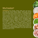 Signature Freedom Chicken and Rice Recipe Puppy Dog Dry Food image 3