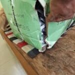 Signature Grain Zero Ocean Fish, Sardine and Mackerel Mother and Kitten Cat Dry Food image 2