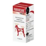 Sihil Parvocare Tablets for Dogs image 2