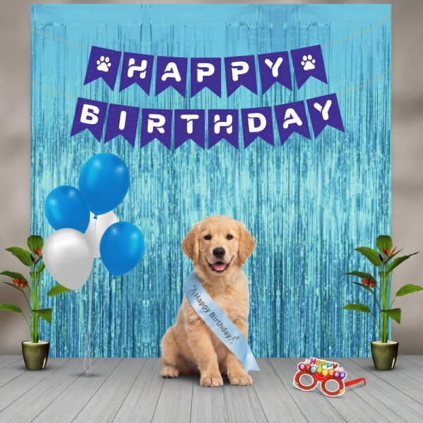 Skatrs Birthday hamper for Dogs and Cats (Blue)