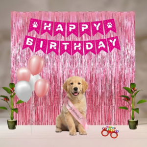 Skatrs Birthday Hamper for Dogs and Cats (Pink)