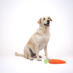 Skatrs Carrot Plush Toy for Dogs image 4