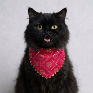 Skatrs Ethnic Bandana for Cats (Pink)