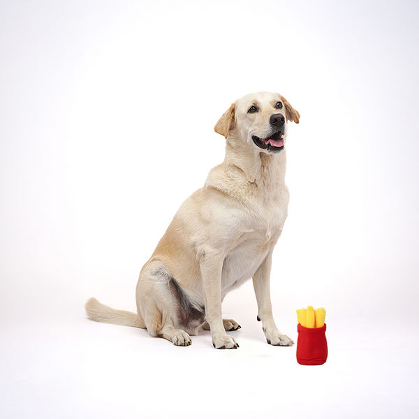 Skatrs French Fries Plush Toy for Dogs