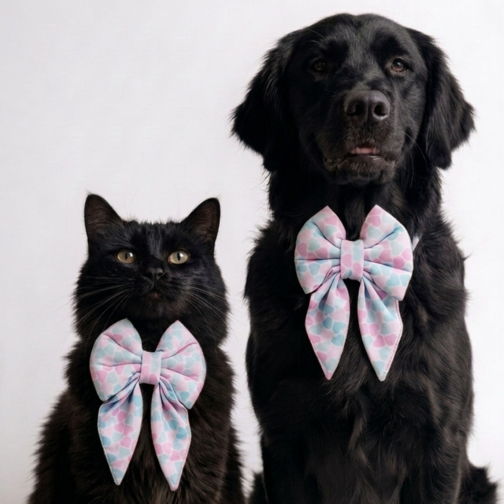 Skatrs Heart Bowtie for Dogs and Cats