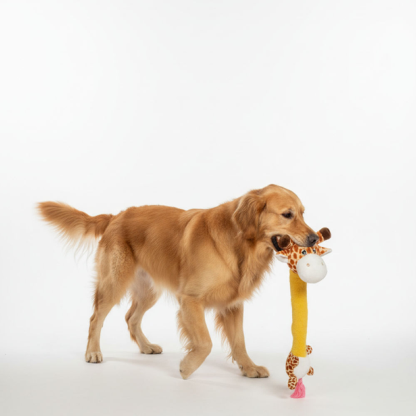 Skatrs Jolly Giraffe Plush for Dogs