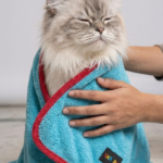 Skatrs Pet towel ( Light Blue and Red) image 2
