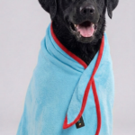Skatrs Pet towel ( Light Blue and Red) image 3