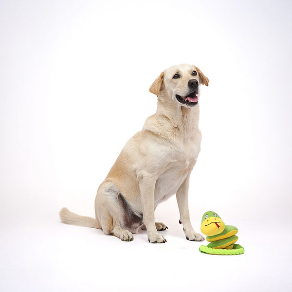 Skatrs Snake Plush Toy with Rope for Dogs