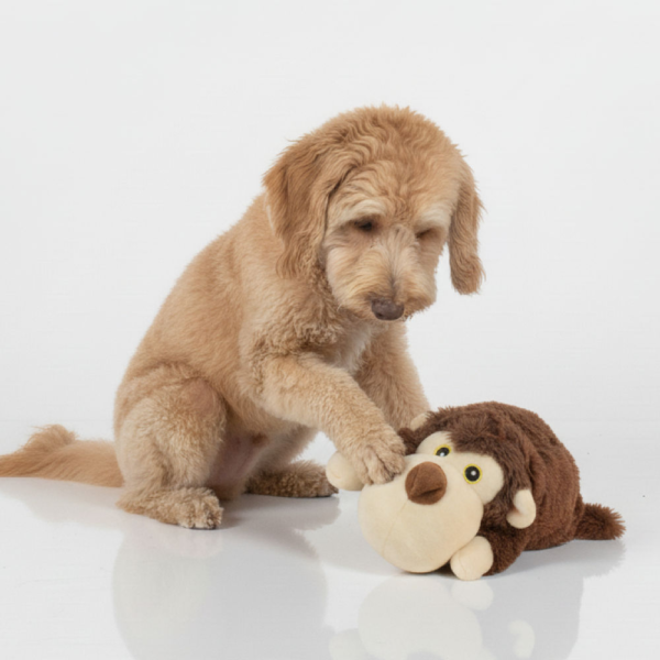 Skatrs Soft Bear Plush Snuggle Toy for Dogs