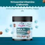 TailsAlive Chicken Flavour Multivitamin Soft Chews Supplement for Dogs image 3