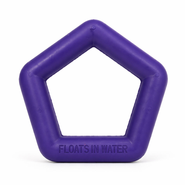 Talking Dog Club Sturdy Hexagon Floater Chew Toy for Dogs (Purple)