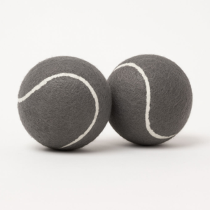 Talking Dog Club Tennis Ball Toy for Dogs (Grey)