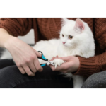 Trixie Claw Scissors for Dogs and Cats (Blue) image 4