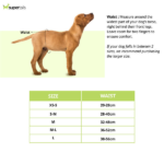 Trixie Female Diapers for Dogs (20x28cm) image 3
