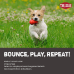 Trixie Jumper Chew Toy for Dogs (Blue) image 3