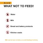 Tunai Hand Feeding Formula for All New Born Baby Birds image 4