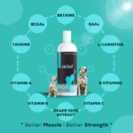 Venttura Amino Plus Syrup for Dogs image 3