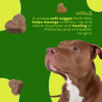 Venttura Inhancer Hip & Joint Soft Nuggets Supplements for Dogs image 3