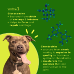 Venttura Inhancer Hip & Joint Soft Nuggets Supplements for Dogs image 4