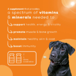 Venttura Nutri Plus Pro Multi Vitamin Chewable Tablets for Dogs image 3