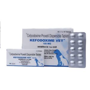 Vetina Kefodoxime Vet 100mg (Cefpodoxime Proxetil) Tablet for Dogs and Cats