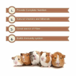 Vitapol Economic Food For Hamsters image 4