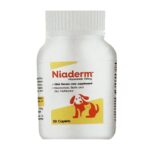 Vvaan Niaderm 500mg (Niacinamide) Capsules Derma Care Supplements for Dogs and Cats image 2