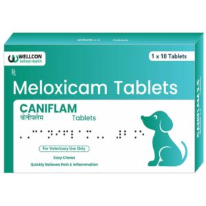 Wellcon Caniflam 2.5mg Tablet (Meloxicam) for Dogs