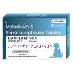 Wellcon Caniflam S 2.5mg Tablet (Meloxicam & Serratiopeptidase) for Dogs and Cats image 1