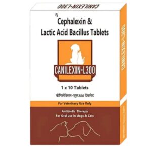 Wellcon Canilexin L 300mg Tablet (Cephalexin) for Dogs and Cats