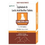 Wellcon Canilexin L 600mg Tablet (Cephalexin) for Dogs and Cats image 2