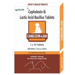 Wellcon Canilexin L 600mg Tablet (Cephalexin) for Dogs and Cats