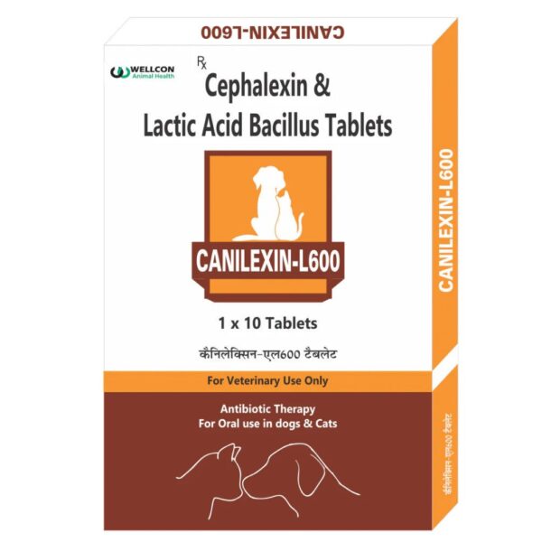 Wellcon Canilexin L 600mg Tablet (Cephalexin) for Dogs and Cats