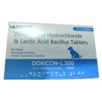 Wellcon Doxicon L 300mg Tablet (Doxycycline & Lactic Acid) for Dogs image 1