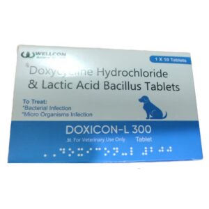 Wellcon Doxicon L 300mg Tablet (Doxycycline & Lactic Acid) for Dogs