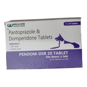 Wellcon Pendom 20mg DSR Tablet (Pantoprazole & Domperidone) for Dogs and Cats