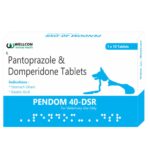 Wellcon Pendom 40mg DSR Tablet (Pantoprazole & Domperidone) for Dogs and Cats image 1