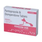 Wellcon Pendom DSR 10mg Tablet (Pantoprazole & Domperidone) for Dogs and Cats image 1