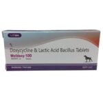 Wellpet Welldoxy 100mg (Doxycycline) Tablets for Dogs image 1