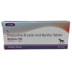 Wellpet Welldoxy 100mg (Doxycycline) Tablets for Dogs